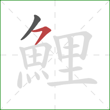 鯉的笔顺第2画:横撇 鯉的笔顺第2画:横撇