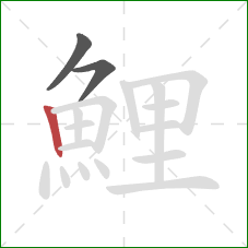 鯉的笔顺第3画:竖 鯉的笔顺第3画:竖