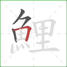鯉的笔顺第4画:横折 鯉的笔顺第4画:横折
