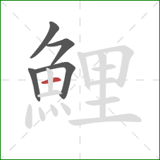 鯉的笔顺第5画:横 鯉的笔顺第5画:横
