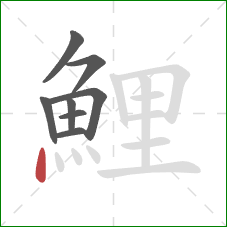 鯉的笔顺第8画:点 鯉的笔顺第8画:点