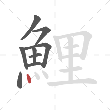 鯉的笔顺第9画:点 鯉的笔顺第9画:点