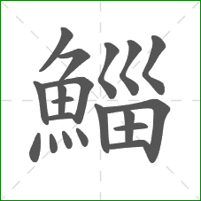 鯔的部首 鯔的部首