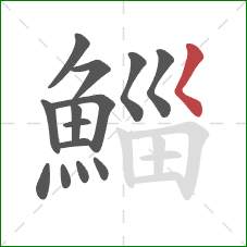鯔的笔顺第14画:撇点 鯔的笔顺第14画:撇点