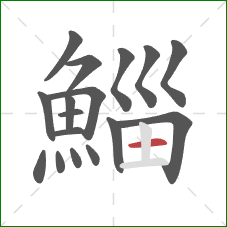 鯔的笔顺第17画:横 鯔的笔顺第17画:横