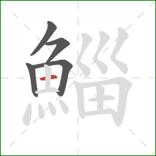 鯔的笔顺第5画:横 鯔的笔顺第5画:横