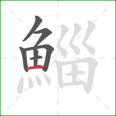 鯔的笔顺第7画:横 鯔的笔顺第7画:横