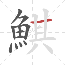 鯕的笔顺第12画：横
