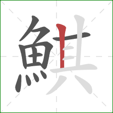 鯕的笔顺第13画：竖