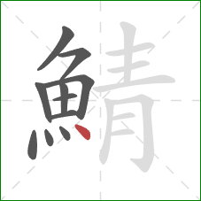 鯖的笔顺第11画：点