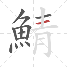 鯖的笔顺第13画：横