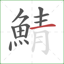 鯖的笔顺第15画：横