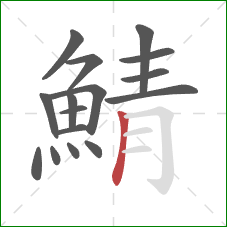 鯖的笔顺第16画：竖