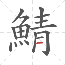 鯖的笔顺第19画：横