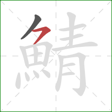 鯖的笔顺第2画：横撇