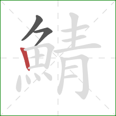 鯖的笔顺第3画：竖