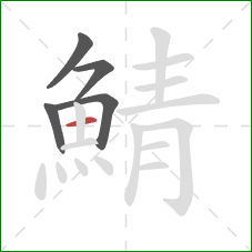 鯖的笔顺第5画：横