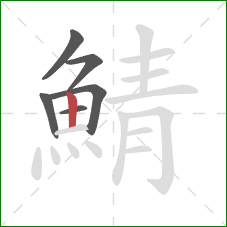 鯖的笔顺第6画：竖