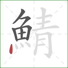 鯖的笔顺第8画：点