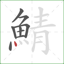 鯖的笔顺第9画：点
