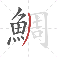 鯛的笔顺第12画：撇
