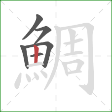 鯛的笔顺第6画：竖