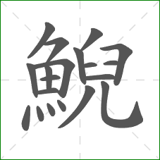 鯢的部首 鯢的部首