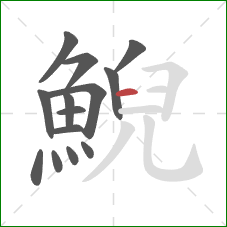 鯢的笔顺第14画:横 鯢的笔顺第14画:横