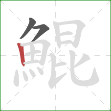 鯤的笔顺第3画：竖