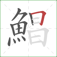 鯧的笔顺第13画：横折