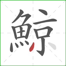 鯨的笔顺第18画：撇