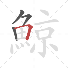 鯨的笔顺第4画：横折