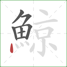 鯨的笔顺第8画：点