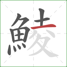 鯪的笔顺第14画：横