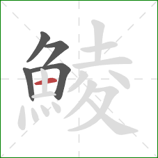 鯪的笔顺第5画：横