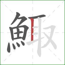 鯫的笔顺第13画：竖