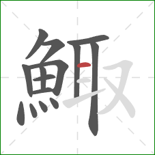 鯫的笔顺第15画：横