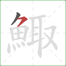 鯫的笔顺第2画：横撇
