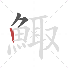鯫的笔顺第3画：竖