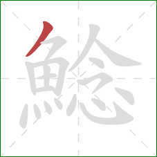 鯰的笔顺第1画:撇 鯰的笔顺第1画:撇