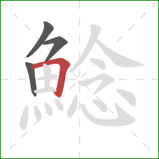 鯰的笔顺第4画:横折 鯰的笔顺第4画:横折