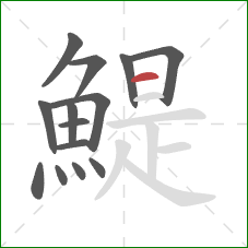 鯷的笔顺第14画:横 鯷的笔顺第14画:横
