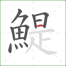 鯷的笔顺第15画:横 鯷的笔顺第15画:横