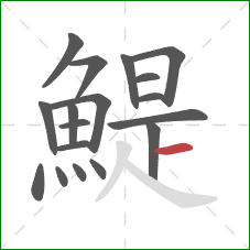 鯷的笔顺第18画:横 鯷的笔顺第18画:横