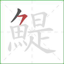 鯷的笔顺第2画:横钩 鯷的笔顺第2画:横钩