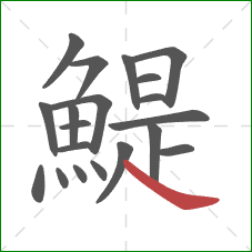 鯷的笔顺第20画:捺 鯷的笔顺第20画:捺