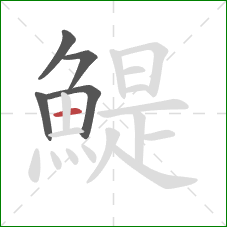 鯷的笔顺第5画:横 鯷的笔顺第5画:横