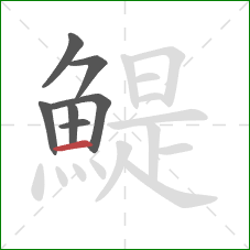 鯷的笔顺第7画:横 鯷的笔顺第7画:横