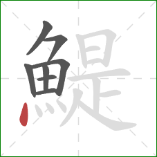 鯷的笔顺第8画:点 鯷的笔顺第8画:点