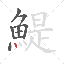 鯷的笔顺第9画:点 鯷的笔顺第9画:点